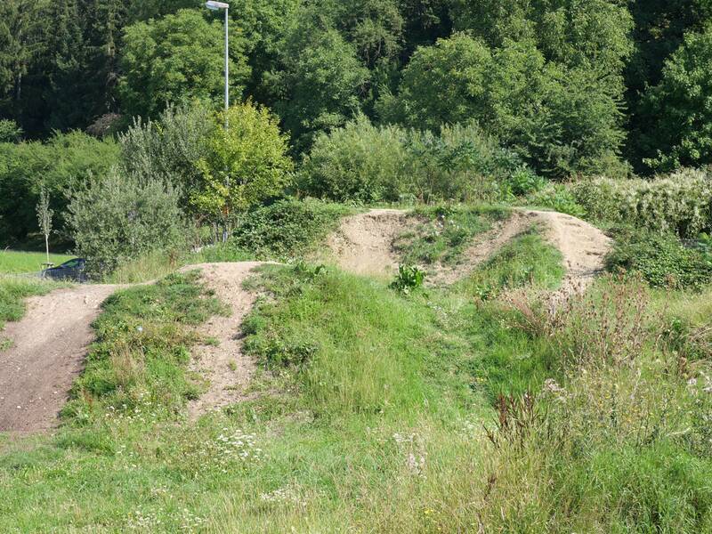 Dirtpark mit dichtem Buschwerk und zwei Erdhügeln auf einem schmalen Pfad, umgeben von üppiger Vegetation.