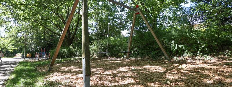 Gesamtansicht eienr Schaukel im lichten Wald, daneben ist eine Wippe zu erkennen.