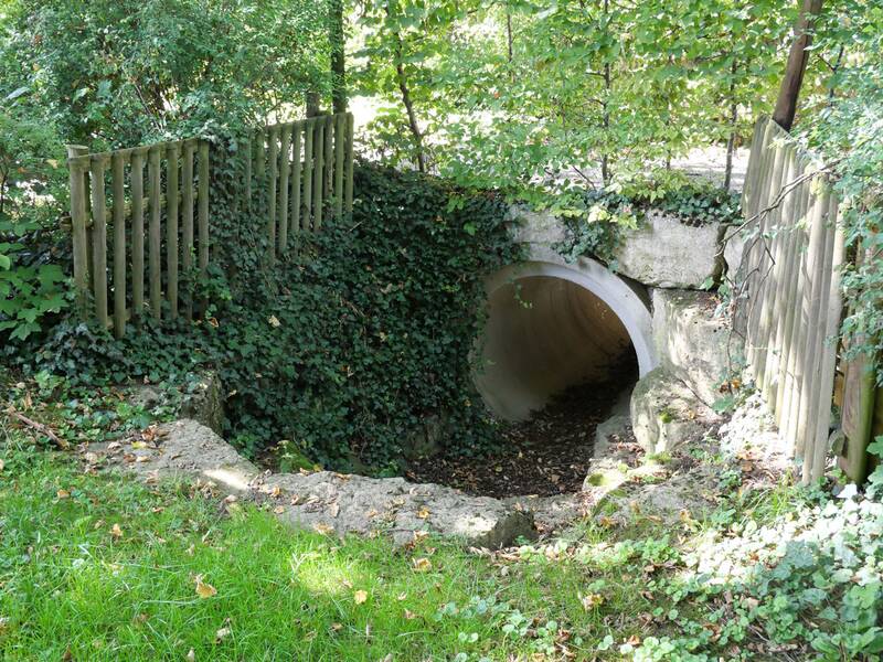 Eine mit Efeu bewachsene Betonrohröffnung, umgeben von Holzzäunen.