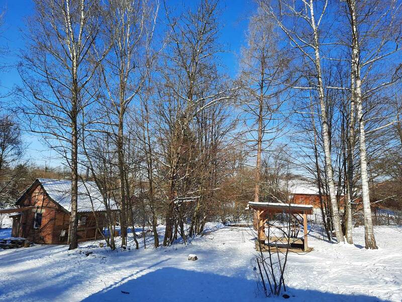Eine schneebedeckte Landschaft mit kahlen Bäumen und zwei Holzhäusern unter einem klaren blauen Himmel.