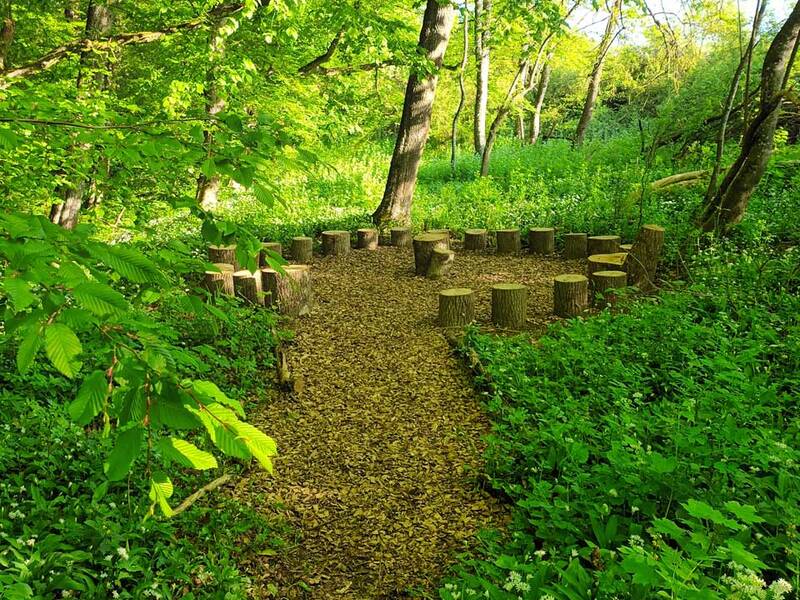 Ein Waldpfad führt zu einem Kreis aus Baumstümpfen, die als Sitzgelegenheiten dienen, umgeben von dichter, grüner Vegetation.
