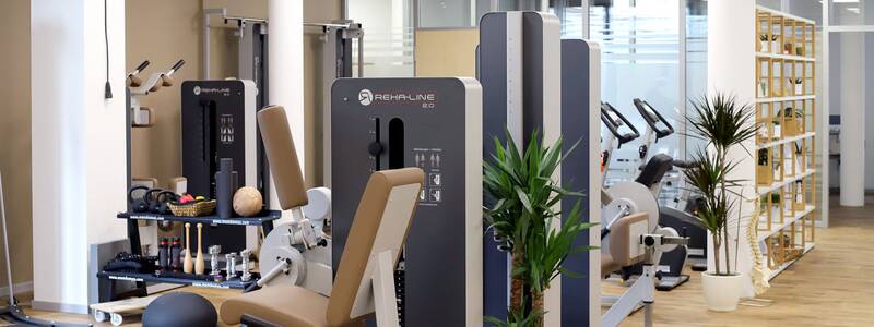 Ein moderner Fitnessraum mit verschiedenen Trainingsgeräten, Pflanzen und Holzfußboden.
