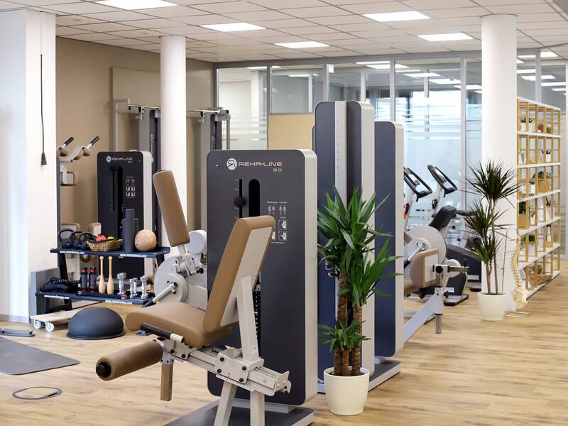 Ein moderner Fitnessraum mit verschiedenen Trainingsgeräten, Pflanzen und Holzfußboden.
